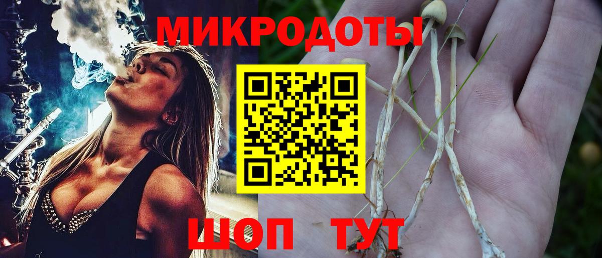 Псилоцибиновые грибы MAGIC MUSHROOMS  Истра 