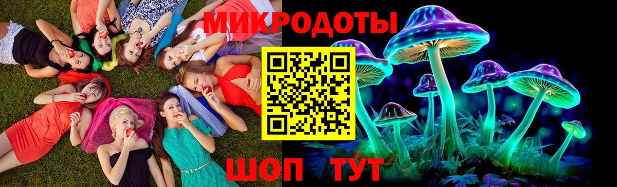 Псилоцибиновые грибы Psilocybe Истра