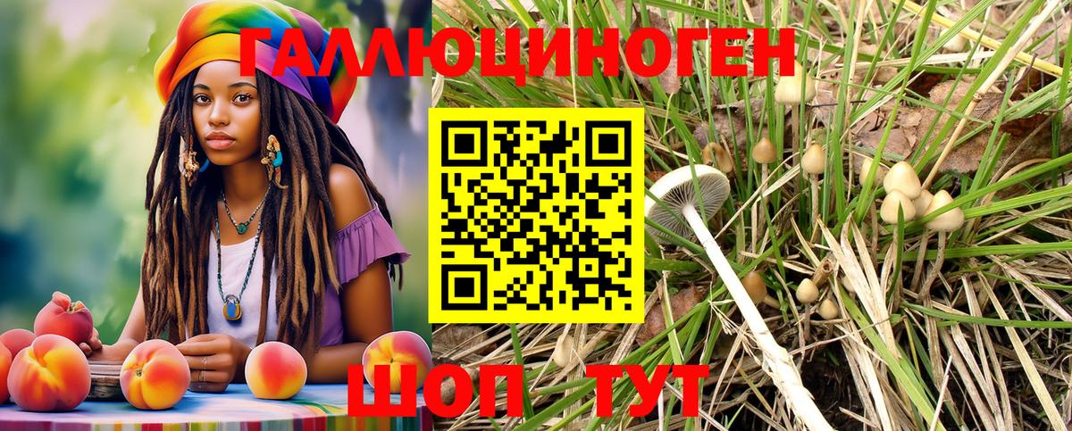 Галлюциногенные грибы Psilocybine cubensis  Вход с VPN  Истра 