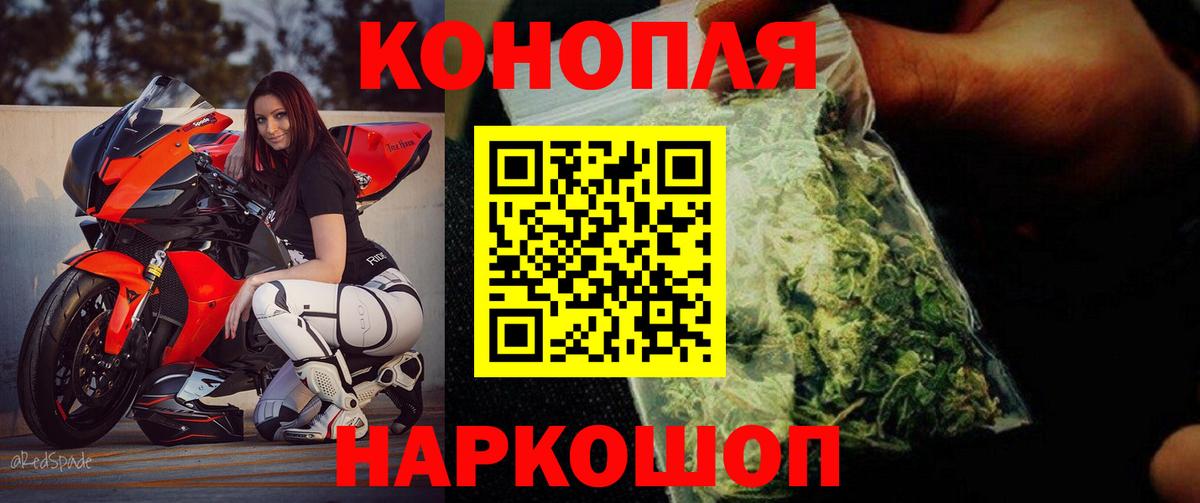 Бошки Шишки планчик  Вход с VPN  Марихуана планчик  Бошки марихуана Amnesia  Истра  Бошки марихуана план 