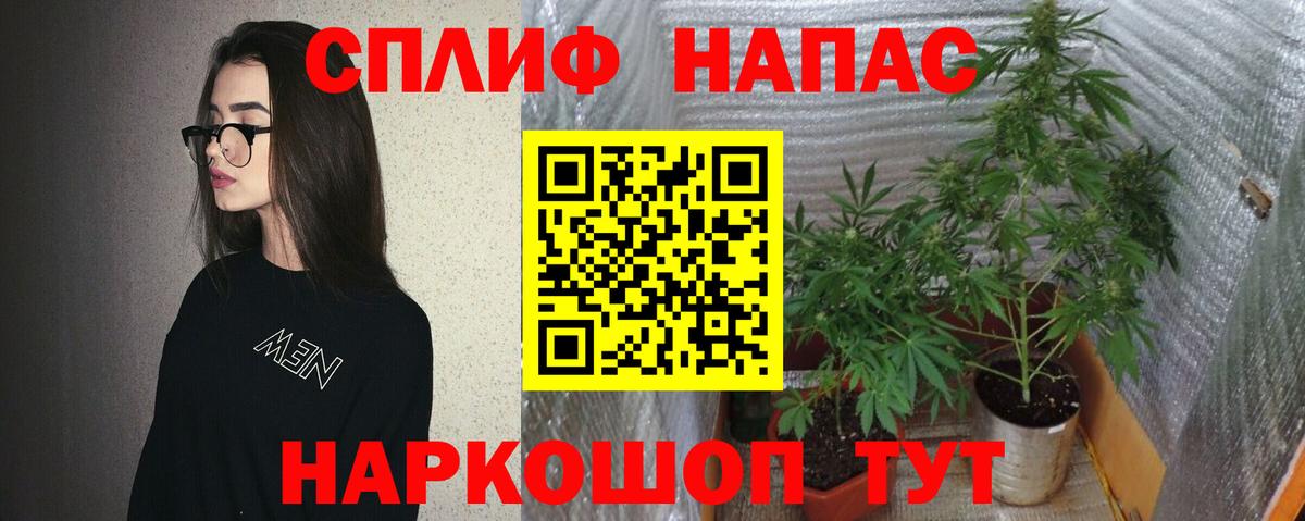 Бошки марихуана марихуана Истра